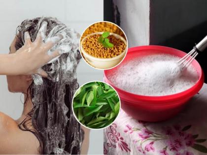 Repair Damaged Hair Naturally: Mix These Herbal Ingredients in Your Shampoo | Repair Damaged Hair Naturally: Mix These Herbal Ingredients in Your Shampoo Repair Damaged Hair Naturally: Mix These Herbal Ingredients in Your Shampoo | Repair Damaged Hair Naturally: Mix These Herbal Ingredients in Your Shampoo