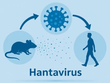 What Is Hantavirus? Symptoms, Causes, Treatment and Prevention