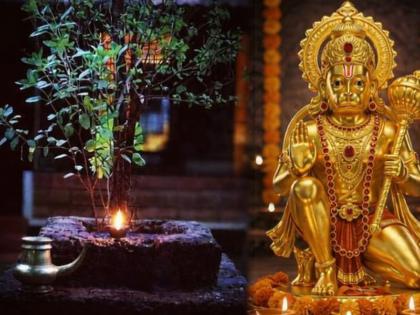 Hanuman Jayanti 2026: Powerful Tulsi Remedy to Remove Negative Energy and Obstacles Hanuman Jayanti 2026: Powerful Tulsi Remedy to Remove Negative Energy and Obstacles