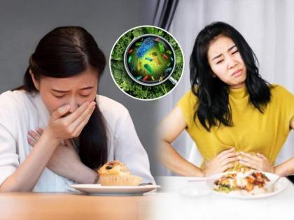 When and Why Food Poisoning Happens And Simple Tips To Avoid It | When and Why Food Poisoning Happens And Simple Tips To Avoid It When and Why Food Poisoning Happens And Simple Tips To Avoid It | When and Why Food Poisoning Happens And Simple Tips To Avoid It