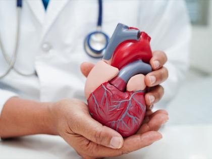 Heart Health Alert: Easy Lifestyle Changes to Avoid Artery Blockage and Heart Disease | Heart Health Alert: Easy Lifestyle Changes to Avoid Artery Blockage and Heart Disease