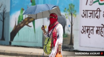 Heatwave Persists in North India, Claiming 12 Lives in Rajasthan | Heatwave Persists in North India, Claiming 12 Lives in Rajasthan