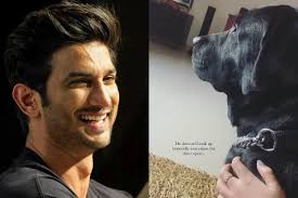 Sushant Singh Rajput was strangulated to death with his pet dog's belt says, former assistant | Sushant Singh Rajput was strangulated to death with his pet dog's belt says, former assistant