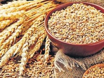 COVID-19: Centre to provide 5kg of free food grains to poor in May, June | COVID-19: Centre to provide 5kg of free food grains to poor in May, June