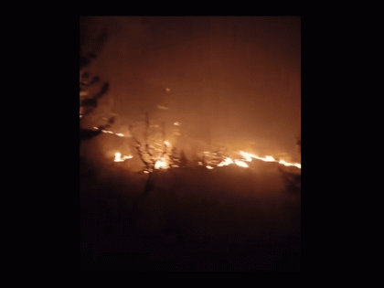 Himachal Pradesh Forest Fire: Property Worth Crores Lost as Massive Blaze Erupts in Manali (Watch Video) | Himachal Pradesh Forest Fire: Property Worth Crores Lost as Massive Blaze Erupts in Manali (Watch Video)