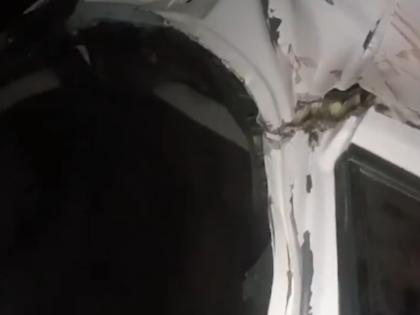 Hisar Accident: 4 Killed in Haryana as Speeding Car Heading to Wedding Loses Control, Hits Tree | Hisar Accident: 4 Killed in Haryana as Speeding Car Heading to Wedding Loses Control, Hits Tree Hisar Accident: 4 Killed in Haryana as Speeding Car Heading to Wedding Loses Control, Hits Tree | Hisar Accident: 4 Killed in Haryana as Speeding Car Heading to Wedding Loses Control, Hits Tree