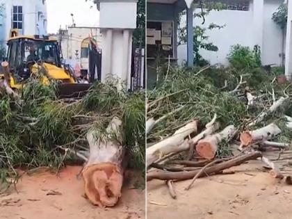 West Bengal: Two Workers Die as Tree Falls Near Howrah Municipal Office | West Bengal: Two Workers Die as Tree Falls Near Howrah Municipal Office