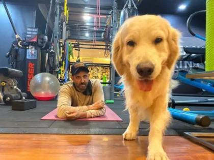 COVID-19: Hrithik Roshan's dog Zane has a message for the actor's fans | COVID-19: Hrithik Roshan's dog Zane has a message for the actor's fans