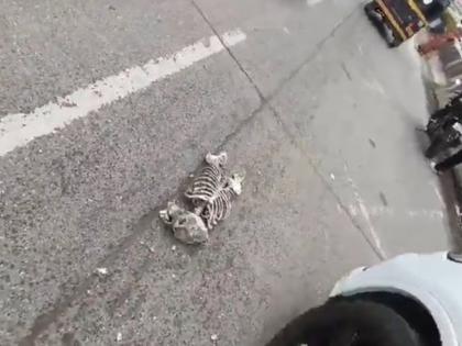 Pune: Human Skeleton Found on Road in Yerawada, Police Rush to Spot After Chaos | Pune: Human Skeleton Found on Road in Yerawada, Police Rush to Spot After Chaos