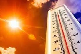 Nashik Weather Update: Citizens Brace for Unrelenting Heatwave | Nashik Weather Update: Citizens Brace for Unrelenting Heatwave