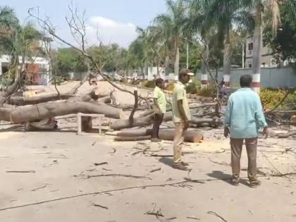 Hyderabad: Man Crushed to Death, Wife Injured After Tree Falls on Them in Bolaram | Hyderabad: Man Crushed to Death, Wife Injured After Tree Falls on Them in Bolaram