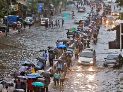 All schools, colleges in Maharashtra's Palghar to remain shut amid heavy rains | All schools, colleges in Maharashtra's Palghar to remain shut amid heavy rains