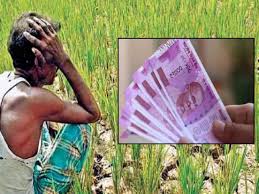 Maha govt releases Rs 1,500 crore financial aid for farmers who suffered crop loss in 2022 | Maha govt releases Rs 1,500 crore financial aid for farmers who suffered crop loss in 2022