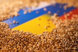 Ukraine Russia Conflict: Kremlin blames West for Ukraine grain export problems | Ukraine Russia Conflict: Kremlin blames West for Ukraine grain export problems