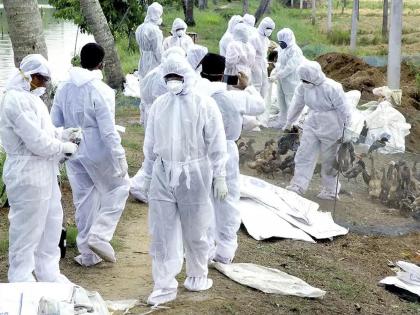 Bird Flu Outbreak Hits Kerala's Kottayam: State-Run Poultry Farm Affected | Bird Flu Outbreak Hits Kerala's Kottayam: State-Run Poultry Farm Affected