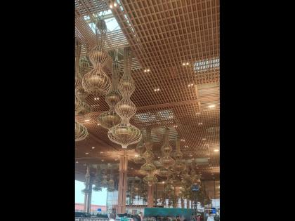 Bengaluru's Terminal 2 unveils the plant kingdom itself | Bengaluru's Terminal 2 unveils the plant kingdom itself Bengaluru's Terminal 2 unveils the plant kingdom itself | Bengaluru's Terminal 2 unveils the plant kingdom itself