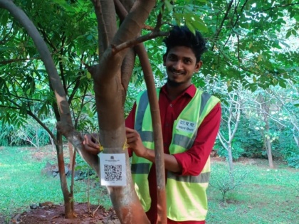 TMC Launches QR Codes for Trees, Citizens Ask What About Concrete Around Trees | TMC Launches QR Codes for Trees, Citizens Ask What About Concrete Around Trees