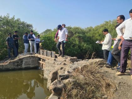 Illegal Bunds Threaten Wetland Ecosystem and Flamingo Habitat in Nerul | Illegal Bunds Threaten Wetland Ecosystem and Flamingo Habitat in Nerul