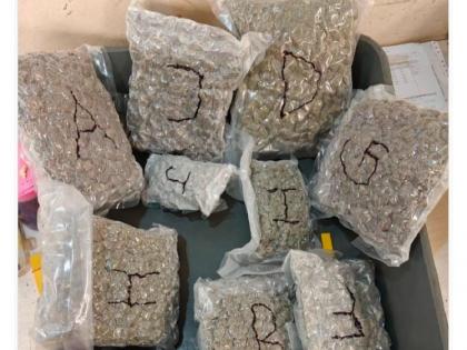 High-Grade Cannabis Worth ₹4.14 Crore Seized at Mumbai Airport; Two Held | High-Grade Cannabis Worth ₹4.14 Crore Seized at Mumbai Airport; Two Held High-Grade Cannabis Worth ₹4.14 Crore Seized at Mumbai Airport; Two Held | High-Grade Cannabis Worth ₹4.14 Crore Seized at Mumbai Airport; Two Held