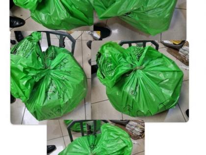 Massive Drug Bust at Mumbai Airport: Customs Seizes ₹56.26 Crore Worth of Hydroponic Weed, Five Arrested | Massive Drug Bust at Mumbai Airport: Customs Seizes ₹56.26 Crore Worth of Hydroponic Weed, Five Arrested Massive Drug Bust at Mumbai Airport: Customs Seizes ₹56.26 Crore Worth of Hydroponic Weed, Five Arrested | Massive Drug Bust at Mumbai Airport: Customs Seizes ₹56.26 Crore Worth of Hydroponic Weed, Five Arrested