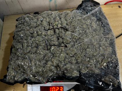Mumbai Airport Customs Seize Hydroponic Weed Worth ₹24.66 Crore, Three Held | Mumbai Airport Customs Seize Hydroponic Weed Worth ₹24.66 Crore, Three Held Mumbai Airport Customs Seize Hydroponic Weed Worth ₹24.66 Crore, Three Held | Mumbai Airport Customs Seize Hydroponic Weed Worth ₹24.66 Crore, Three Held