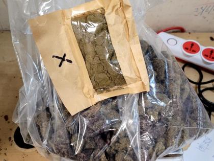Mumbai Airport Customs Seize Rs 3.47 Crore Worth of Hydroponic Marijuana; Two Arrested | Mumbai Airport Customs Seize Rs 3.47 Crore Worth of Hydroponic Marijuana; Two Arrested Mumbai Airport Customs Seize Rs 3.47 Crore Worth of Hydroponic Marijuana; Two Arrested | Mumbai Airport Customs Seize Rs 3.47 Crore Worth of Hydroponic Marijuana; Two Arrested