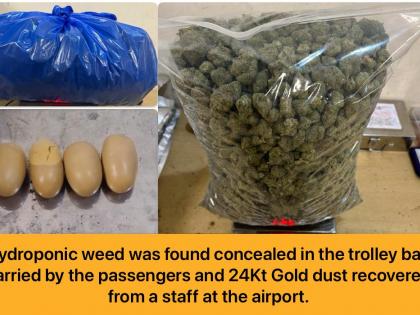 Mumbai: Customs Seize Gold and Narcotics Worth ₹6.41 Crore in Major Crackdown at International Airport | Mumbai: Customs Seize Gold and Narcotics Worth ₹6.41 Crore in Major Crackdown at International Airport