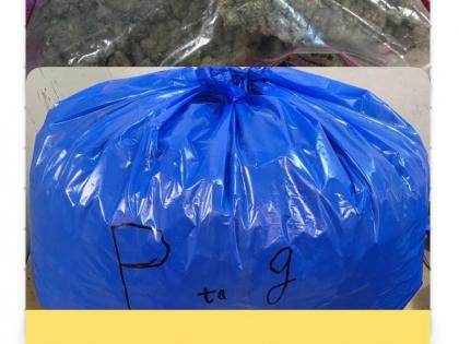 Mumbai Airport: Customs Seized Hydroponic Weed Worth Rs ₹14.5 Crore; Passenger Arrested | Mumbai Airport: Customs Seized Hydroponic Weed Worth Rs ₹14.5 Crore; Passenger Arrested Mumbai Airport: Customs Seized Hydroponic Weed Worth Rs ₹14.5 Crore; Passenger Arrested | Mumbai Airport: Customs Seized Hydroponic Weed Worth Rs ₹14.5 Crore; Passenger Arrested