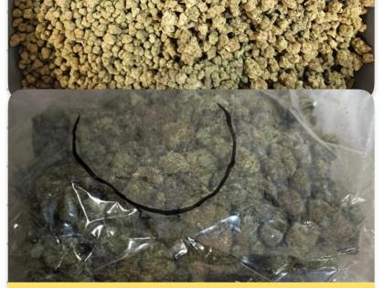 Mumbai Customs Foil Drug and Wildlife Smuggling Attempts at CSMI Airport | Mumbai Customs Foil Drug and Wildlife Smuggling Attempts at CSMI Airport