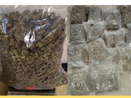 Mumbai Airport: Customs Seize Narcotics, Foreign Currency and Gold Worth Rs 21 Crores | Mumbai Airport: Customs Seize Narcotics, Foreign Currency and Gold Worth Rs 21 Crores Mumbai Airport: Customs Seize Narcotics, Foreign Currency and Gold Worth Rs 21 Crores | Mumbai Airport: Customs Seize Narcotics, Foreign Currency and Gold Worth Rs 21 Crores