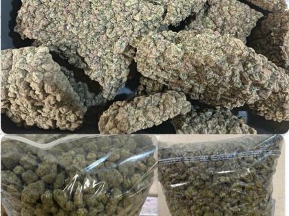 Mumbai: Customs Seize Drugs, Exotic Wildlife, and Drones Worth Crores at CSMI Airport; 3 Arrested | Mumbai: Customs Seize Drugs, Exotic Wildlife, and Drones Worth Crores at CSMI Airport; 3 Arrested