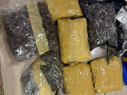 Mumbai Customs Seize 33.4 kg of Hydroponic Weed From Bangkok Passengers, 11 Arrested | Mumbai Customs Seize 33.4 kg of Hydroponic Weed From Bangkok Passengers, 11 Arrested Mumbai Customs Seize 33.4 kg of Hydroponic Weed From Bangkok Passengers, 11 Arrested | Mumbai Customs Seize 33.4 kg of Hydroponic Weed From Bangkok Passengers, 11 Arrested