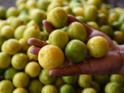 Heatwave Impact: Lemon Squeezes Pocket As Prices Hit the Roof In Nashik | Heatwave Impact: Lemon Squeezes Pocket As Prices Hit the Roof In Nashik