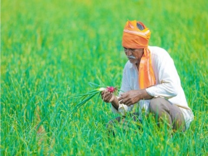 Budget 2020: PM - Kisan fund likely to be trimmed by 20% | Budget 2020: PM - Kisan fund likely to be trimmed by 20%
