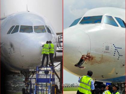 Bird Strike Forces IndiGo Flight Bound for Ranchi to Make Emergency Landing | Bird Strike Forces IndiGo Flight Bound for Ranchi to Make Emergency Landing Bird Strike Forces IndiGo Flight Bound for Ranchi to Make Emergency Landing | Bird Strike Forces IndiGo Flight Bound for Ranchi to Make Emergency Landing