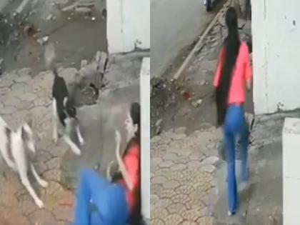 Indore: Girl Attacked Twice by Stray Dogs, Saved by Bystander; Shocking Footage Goes Viral | Indore: Girl Attacked Twice by Stray Dogs, Saved by Bystander; Shocking Footage Goes Viral Indore: Girl Attacked Twice by Stray Dogs, Saved by Bystander; Shocking Footage Goes Viral | Indore: Girl Attacked Twice by Stray Dogs, Saved by Bystander; Shocking Footage Goes Viral