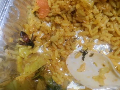 Passenger Finds Insect in Egg Biryani Onboard Gol Gumbaz Express Train, Shares Photo of Meal on Social Media | Passenger Finds Insect in Egg Biryani Onboard Gol Gumbaz Express Train, Shares Photo of Meal on Social Media