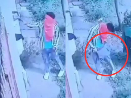 Madhya Pradesh: ‘Chaddi Chor’ Gang Member Caught on Camera Stealing Underwear in Jabalpur, CCTV Footage Goes Viral | Madhya Pradesh: ‘Chaddi Chor’ Gang Member Caught on Camera Stealing Underwear in Jabalpur, CCTV Footage Goes Viral
