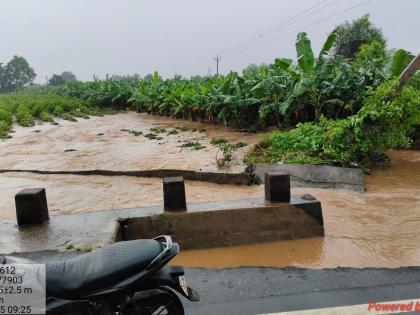 Cloudburst-Like Situation in Jalgaon: 1,800 Animals Dead, 10 Villages Affected | Cloudburst-Like Situation in Jalgaon: 1,800 Animals Dead, 10 Villages Affected