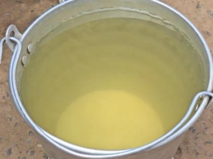 Odisha: Over 10 Fall Ill With Jaundice in Puri Villages After Daya River Water Contamination | Odisha: Over 10 Fall Ill With Jaundice in Puri Villages After Daya River Water Contamination Odisha: Over 10 Fall Ill With Jaundice in Puri Villages After Daya River Water Contamination | Odisha: Over 10 Fall Ill With Jaundice in Puri Villages After Daya River Water Contamination