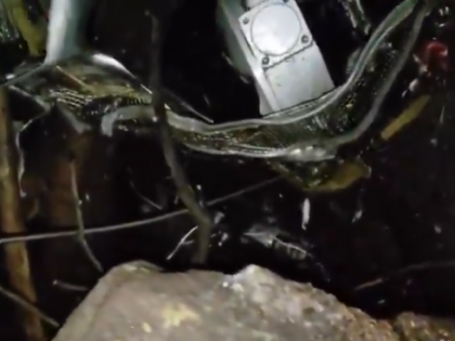 Jharkhand Plane Crash: Air Ambulance Carrying 7 to Delhi From Ranchi Crashes in Chatra District | Jharkhand Plane Crash: Air Ambulance Carrying 7 to Delhi From Ranchi Crashes in Chatra District Jharkhand Plane Crash: Air Ambulance Carrying 7 to Delhi From Ranchi Crashes in Chatra District | Jharkhand Plane Crash: Air Ambulance Carrying 7 to Delhi From Ranchi Crashes in Chatra District