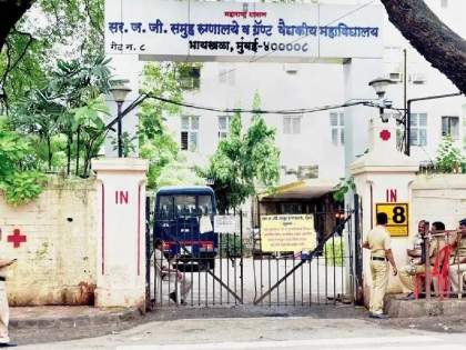 Mumbai: JJ hospital construction work triggers malaria outbreak, 14 doctors affected | Mumbai: JJ hospital construction work triggers malaria outbreak, 14 doctors affected