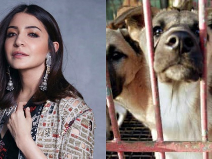 Anushka Sharma raises her voice against China's dog meat fair and animal cruelty | Anushka Sharma raises her voice against China's dog meat fair and animal cruelty