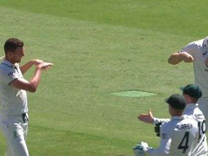 AUS vs WI, 2nd Test: Josh Hazlewood Shoos Away Covid-Positive Cameron Green During Wicket Celebration | AUS vs WI, 2nd Test: Josh Hazlewood Shoos Away Covid-Positive Cameron Green During Wicket Celebration