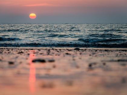 6 People Stung by Jellyfish at Juhu Beach in Mumbai | 6 People Stung by Jellyfish at Juhu Beach in Mumbai