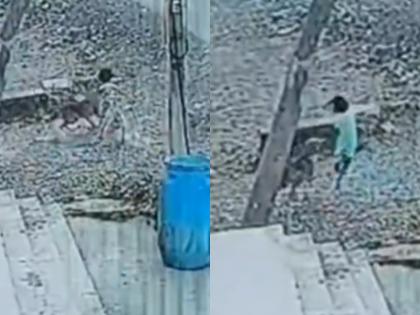 Karnataka Dog Attack: Girl Suffers Eye Injury After Stray Dogs Maul Her in Vijayapura; CCTV Footage Emerges | Karnataka Dog Attack: Girl Suffers Eye Injury After Stray Dogs Maul Her in Vijayapura; CCTV Footage Emerges Karnataka Dog Attack: Girl Suffers Eye Injury After Stray Dogs Maul Her in Vijayapura; CCTV Footage Emerges | Karnataka Dog Attack: Girl Suffers Eye Injury After Stray Dogs Maul Her in Vijayapura; CCTV Footage Emerges