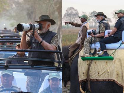 PM Modi Visit to Kaziranga National Park, Takes Elephant and Jeep Safari (See Photos) | PM Modi Visit to Kaziranga National Park, Takes Elephant and Jeep Safari (See Photos)