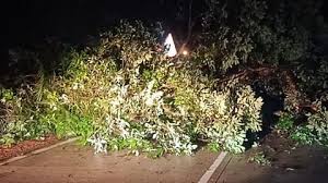 Maharashtra: Tree Fall Disrupts Traffic on Wardha Road, Nagpur for Over Two Hours | Maharashtra: Tree Fall Disrupts Traffic on Wardha Road, Nagpur for Over Two Hours Maharashtra: Tree Fall Disrupts Traffic on Wardha Road, Nagpur for Over Two Hours | Maharashtra: Tree Fall Disrupts Traffic on Wardha Road, Nagpur for Over Two Hours
