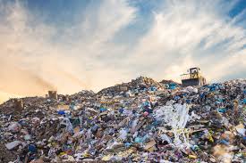 Kolkata Horror: Severed Head of Woman Found in a Garbage Bin, Body Missing | Kolkata Horror: Severed Head of Woman Found in a Garbage Bin, Body Missing Kolkata Horror: Severed Head of Woman Found in a Garbage Bin, Body Missing | Kolkata Horror: Severed Head of Woman Found in a Garbage Bin, Body Missing
