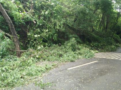 Navi Mumbai: Landslide at Belapur’s Parsik Hill Sparks Outrage Over Illegal Encroachments | Navi Mumbai: Landslide at Belapur’s Parsik Hill Sparks Outrage Over Illegal Encroachments Navi Mumbai: Landslide at Belapur’s Parsik Hill Sparks Outrage Over Illegal Encroachments | Navi Mumbai: Landslide at Belapur’s Parsik Hill Sparks Outrage Over Illegal Encroachments